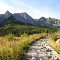 2011-22 Szlak wiodÄ…cy przez RĂłwniÄ™ KrĂłlowÄ…